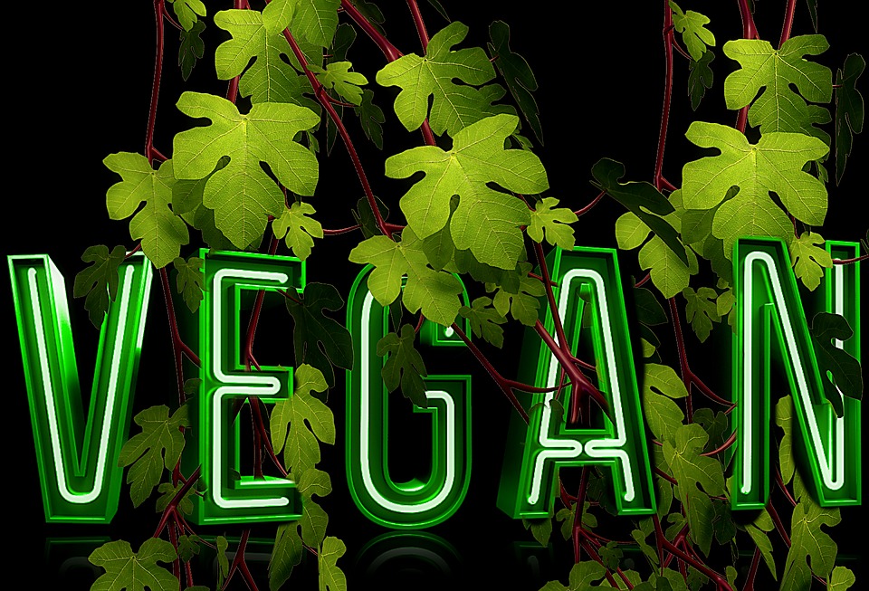 vegan 1161192 960 720
