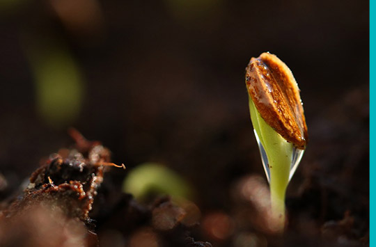 Vorgestellt: Die Bio-Stiftung Schweiz präsentiert den „Bodenfruchtbarkeits-Fonds“ beim Symposium